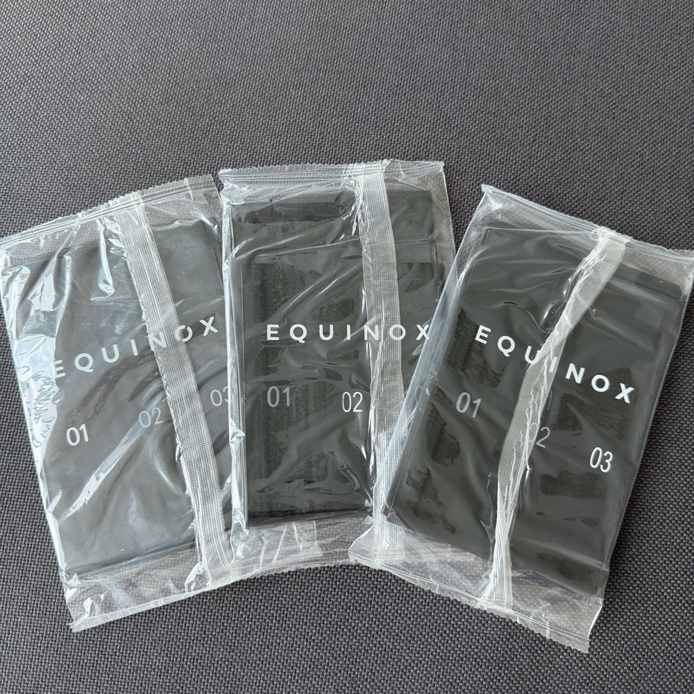 Equinox 3x workout bands